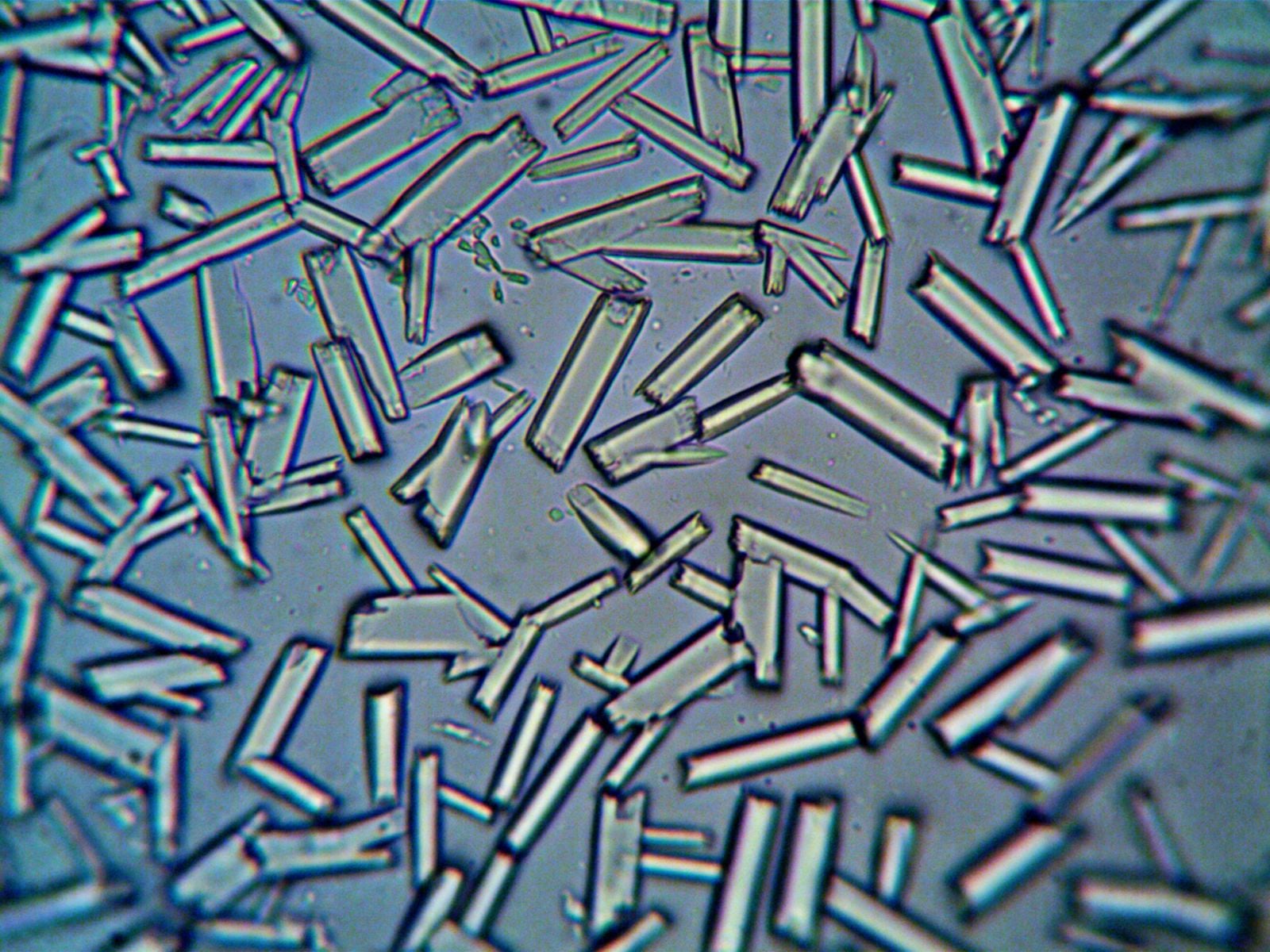 diamond anvil cell experiment