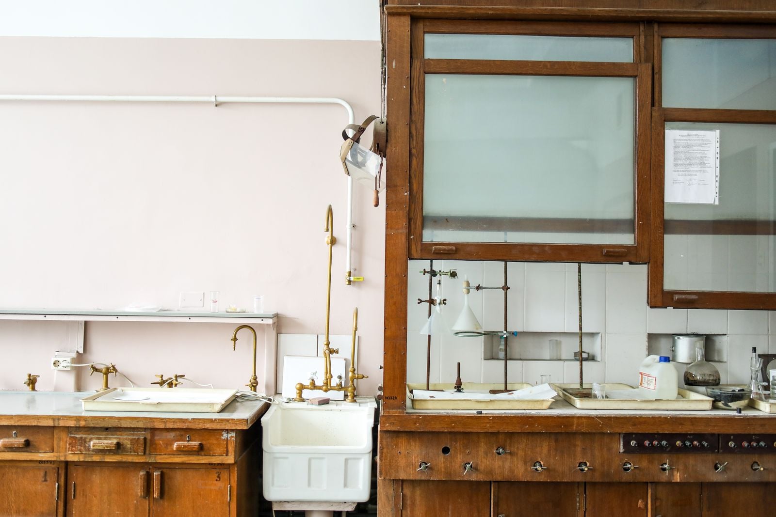 laboratory mice 1920s