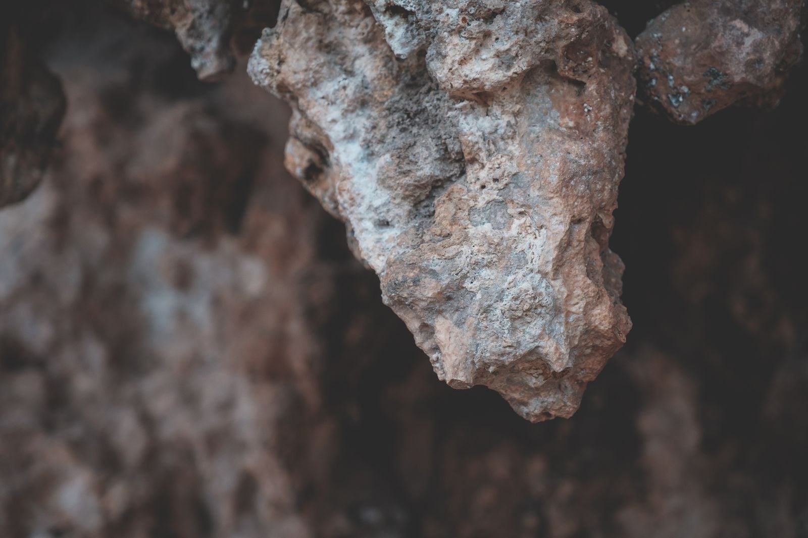 Murchison meteorite fragment