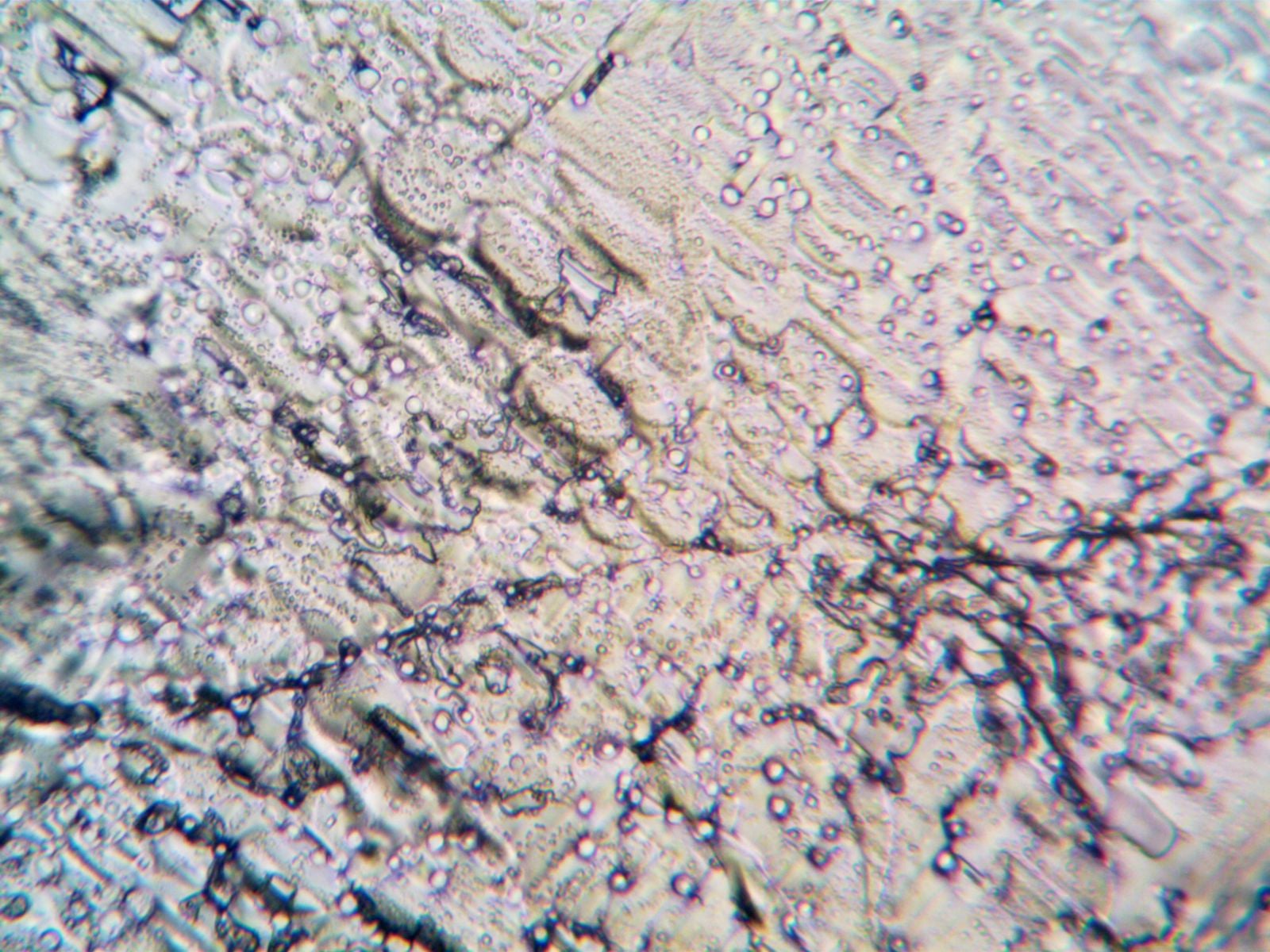 silicon carbide grain microscope