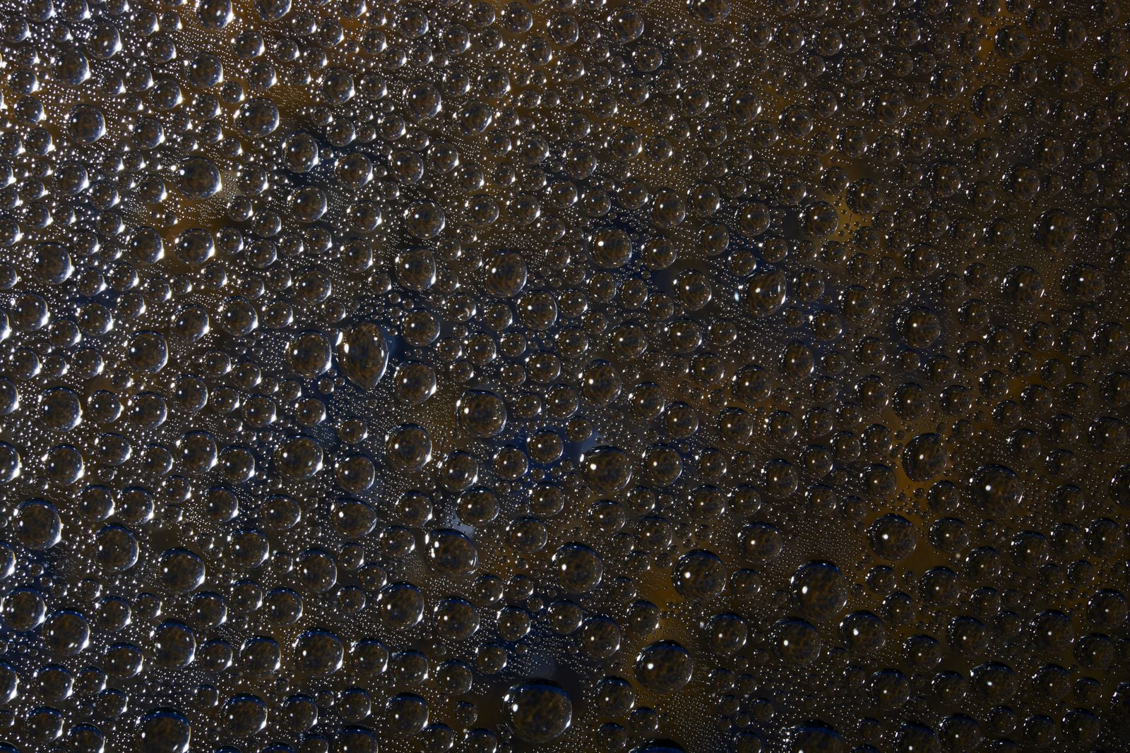 water droplets microscope